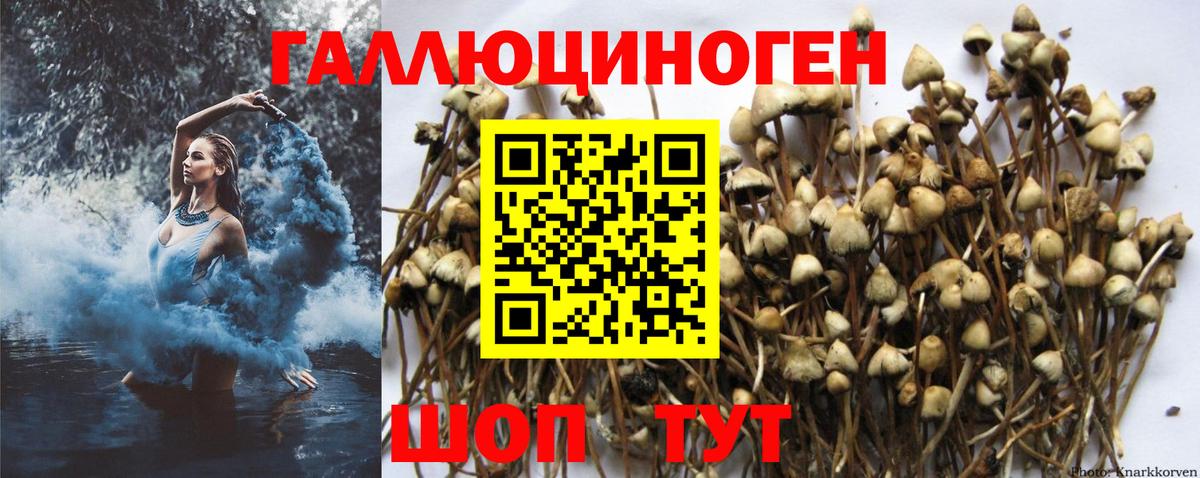 Медногорск  Галлюциногенные грибы мухоморы  Галлюциногенные грибы Psilocybe  Вход с VPN 